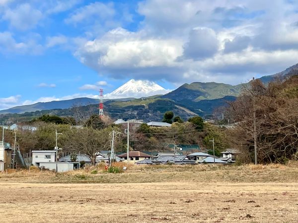 日本・静岡県「続100名城探訪(日帰り旅行)」の写真：興国寺城