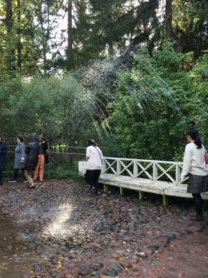 ランチ後はペテルゴフ《ピョートル大帝の夏の宮殿の庭園》。
前回は冬だったか...