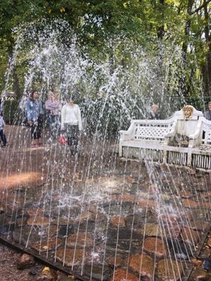 ランチ後はペテルゴフ《ピョートル大帝の夏の宮殿の庭園》。
前回は冬だったか...