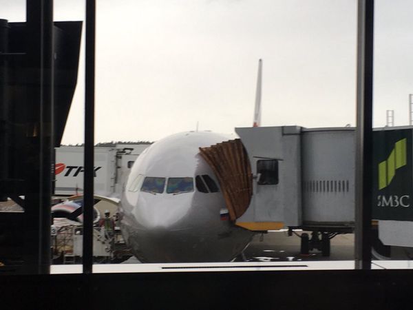 ロシア連邦・モスクワ「【聖地巡礼】二度目のツアー旅行でロシア」の写真：一日目は移動だけですが、いきなりトラブル...