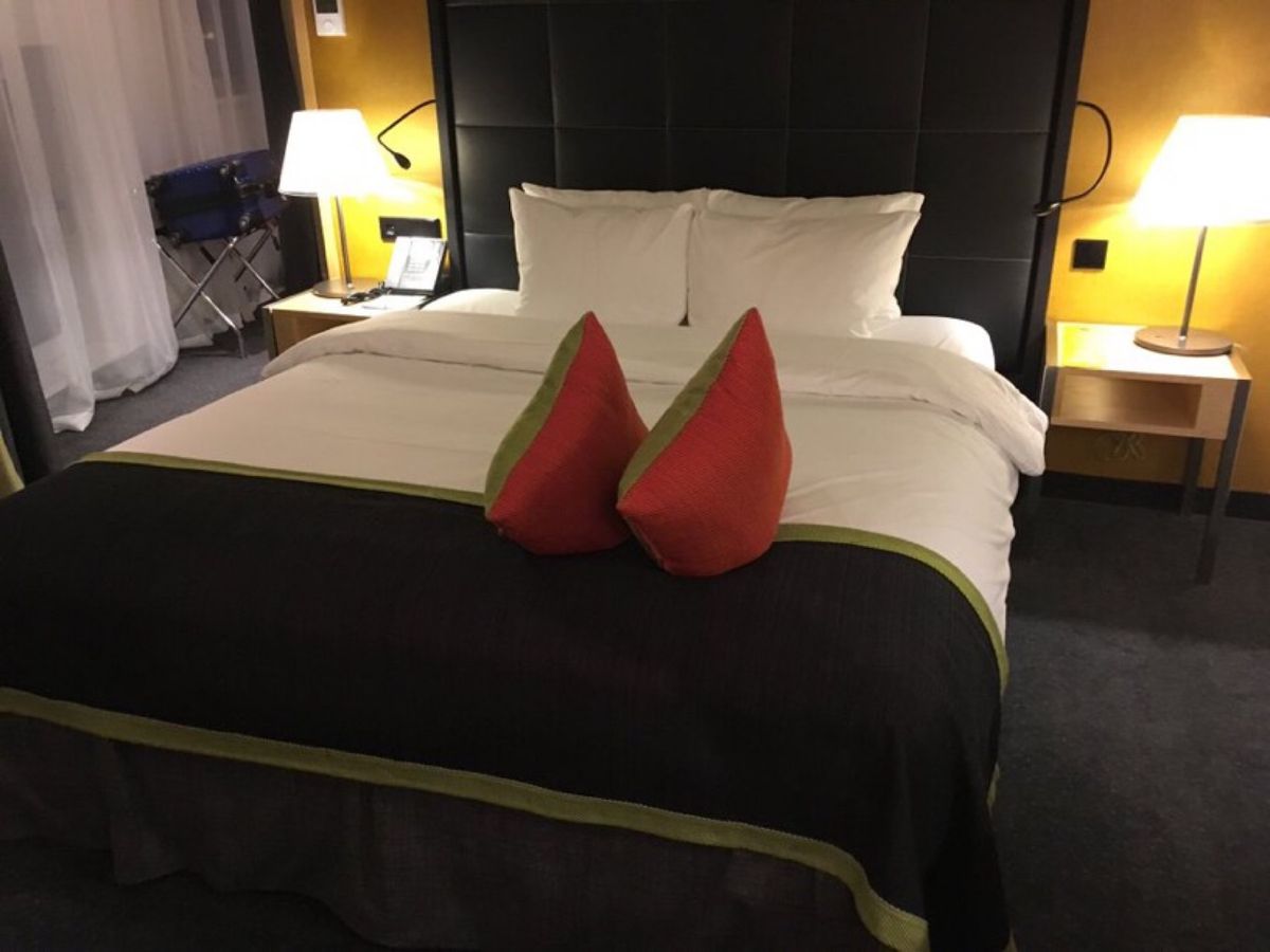 一日目は移動だけですが、いきなりトラブル発生‼️ホテルの部屋が、ほとんどダ...