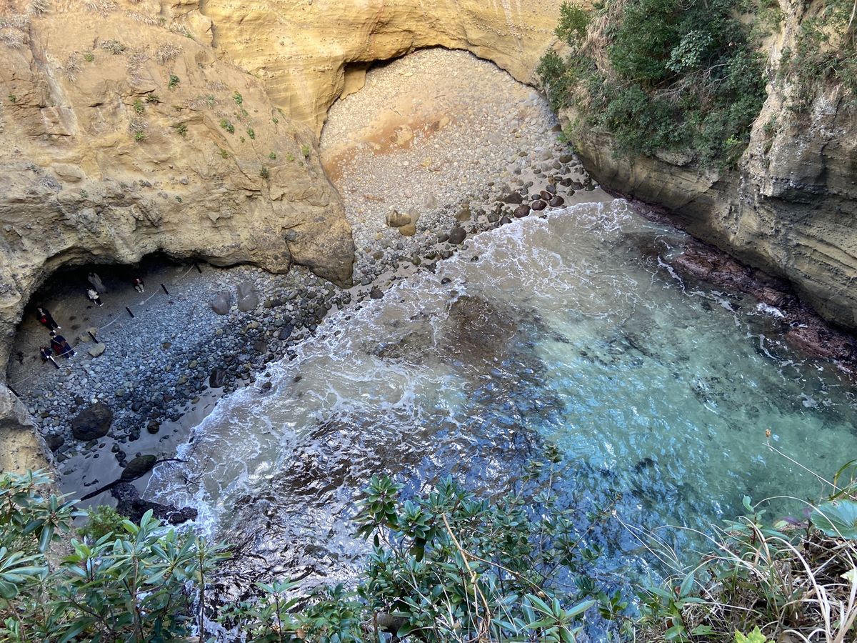 ハートの形の龍宮窟💙
伊豆半島最古の神社白濱神社⛩
日本一の早咲き桜の土肥...