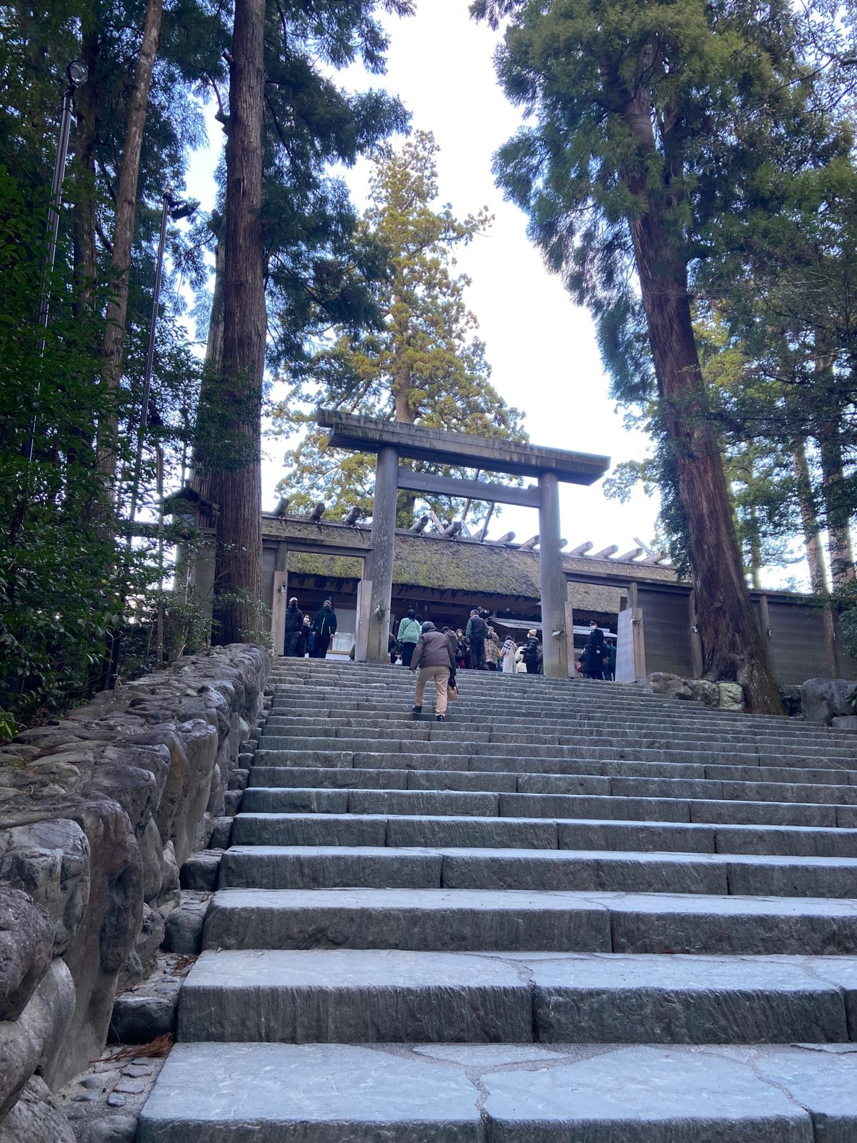 伊勢神宮
赤福もいいけど、へんば餅も良い！
志摩でお魚三昧
志摩スペイン村