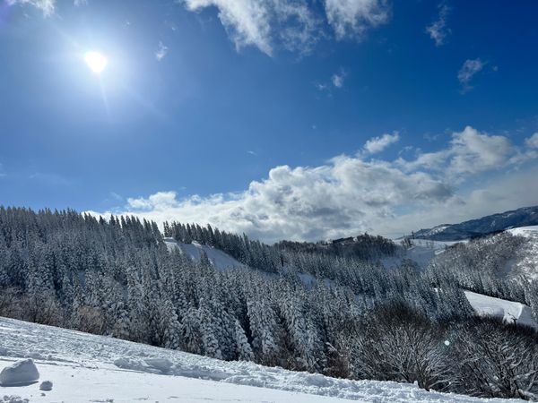 日本・秋田県「秋田スノボ」の写真