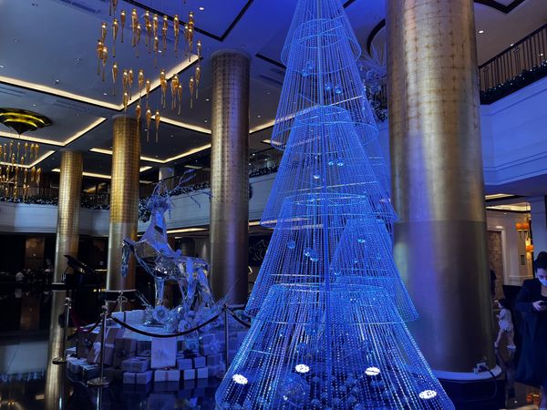 フィリピン・マニラ「フィリピン出張」の写真