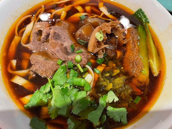 日本「祝舞遊行2023」の写真