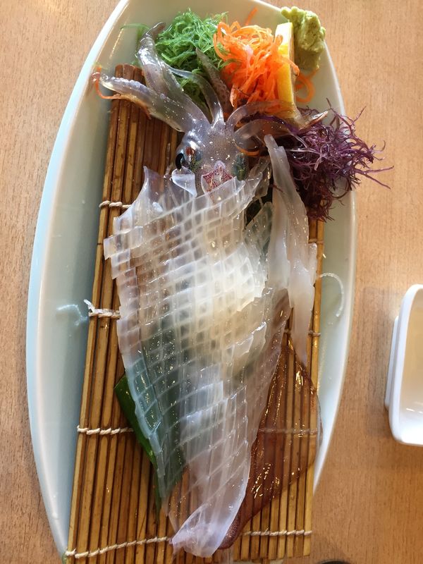 日本・佐賀県「別府温泉」の写真