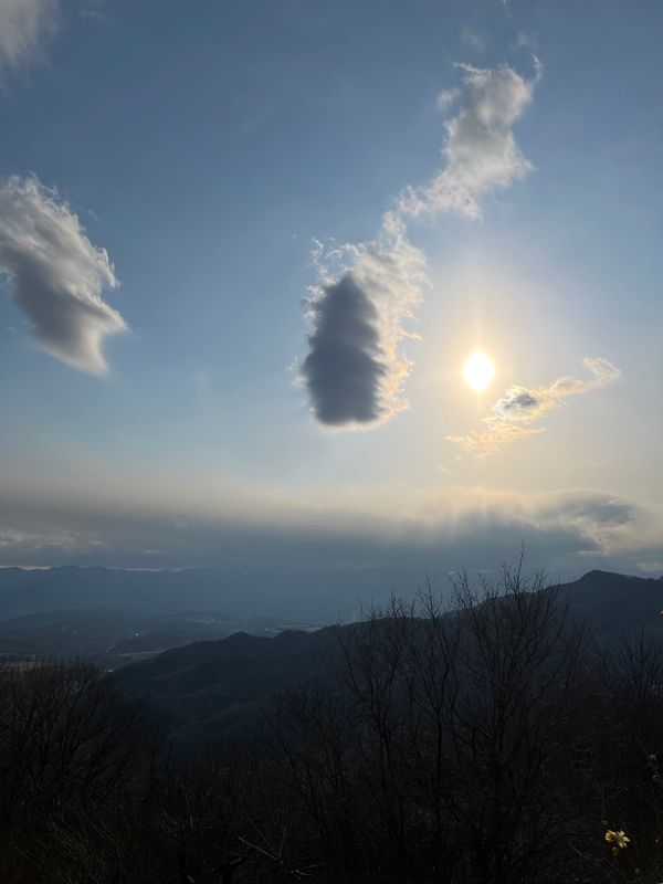 日本・埼玉県「宝登山　ろうばい園」の写真
