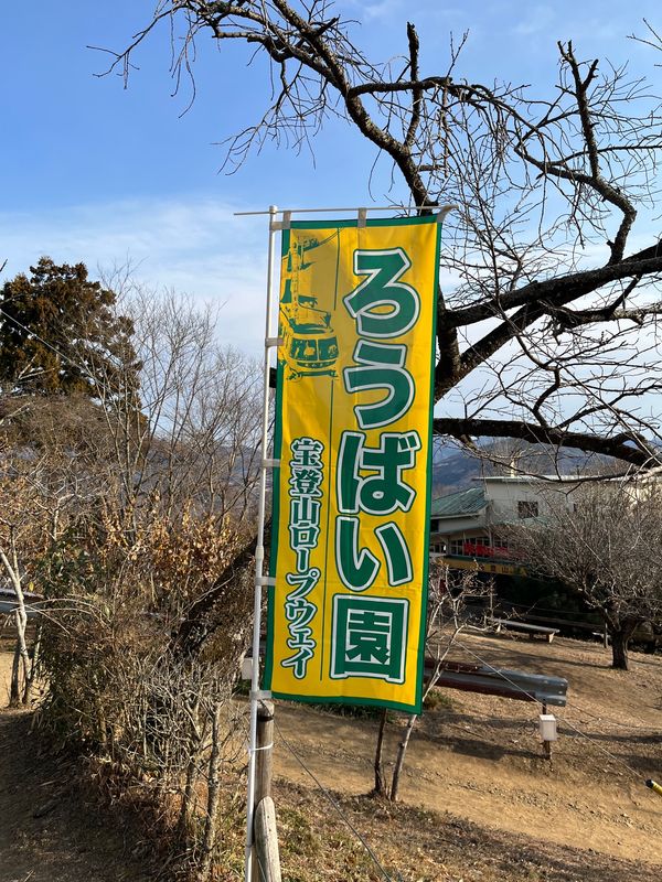 日本・埼玉県「宝登山　ろうばい園」の写真