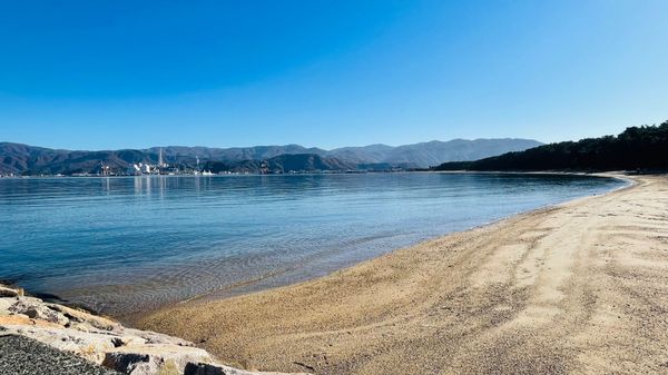日本・滋賀県「琵琶1旅行」の写真：敦賀湾→メタセコイヤ並木→白鬚神社→夕陽