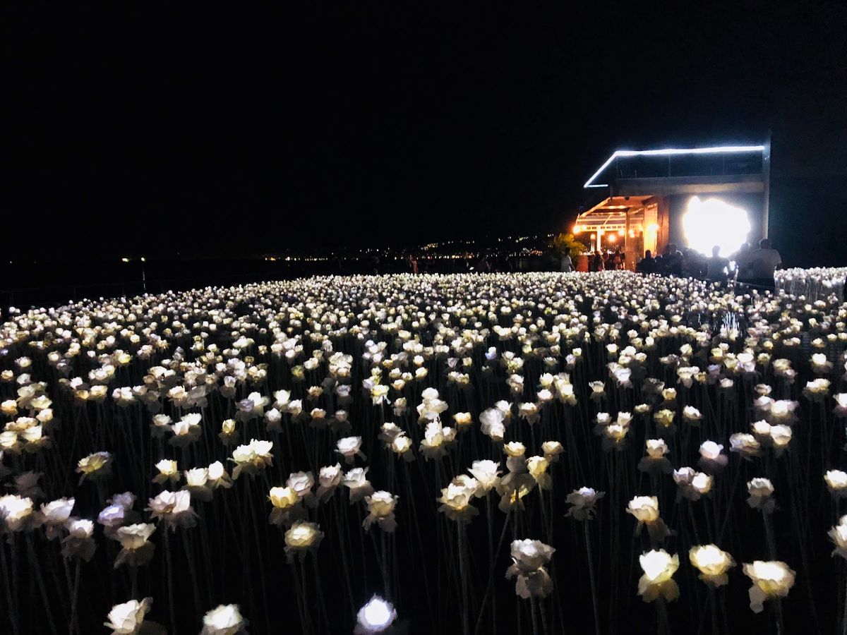 マンゴー寿司が、美味しかった🥭