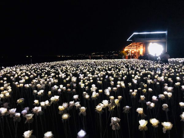 フィリピン・セブ島「セブ島」の写真：マンゴー寿司が、美味しかった🥭