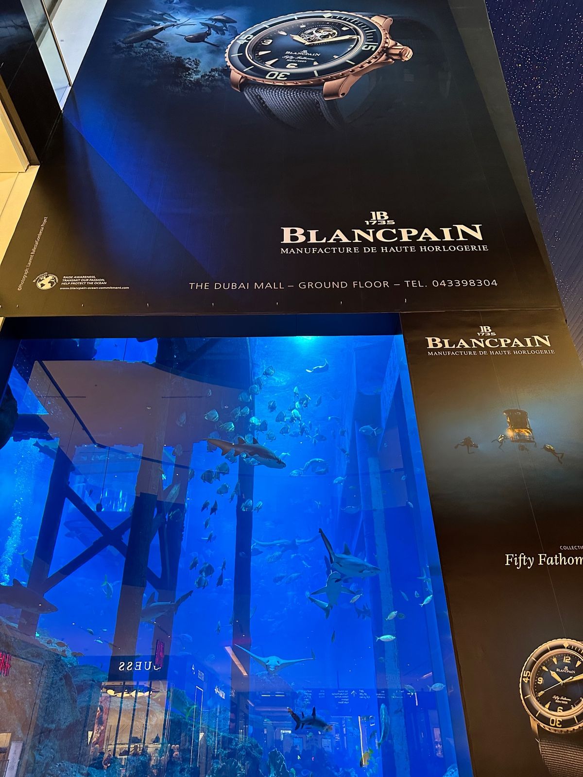 ドバイモール内の水族館。
ネットだと5000円ぐらいですが入場口だと900...