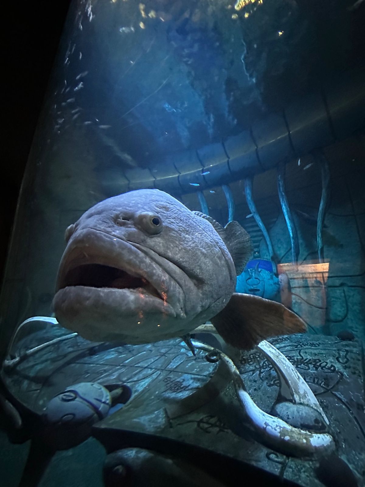 3泊目はドバイに戻り、巨大な人工島のパームジュメイラ先端にあるアトランティ...