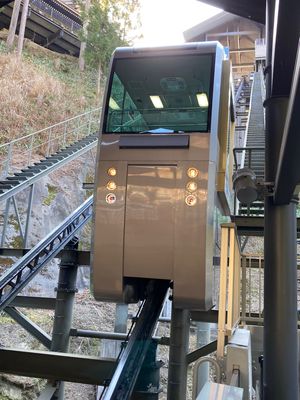 今度こそ、身延山へ。ロープウェイの駅まで114段の階段があるんですが、軟弱...