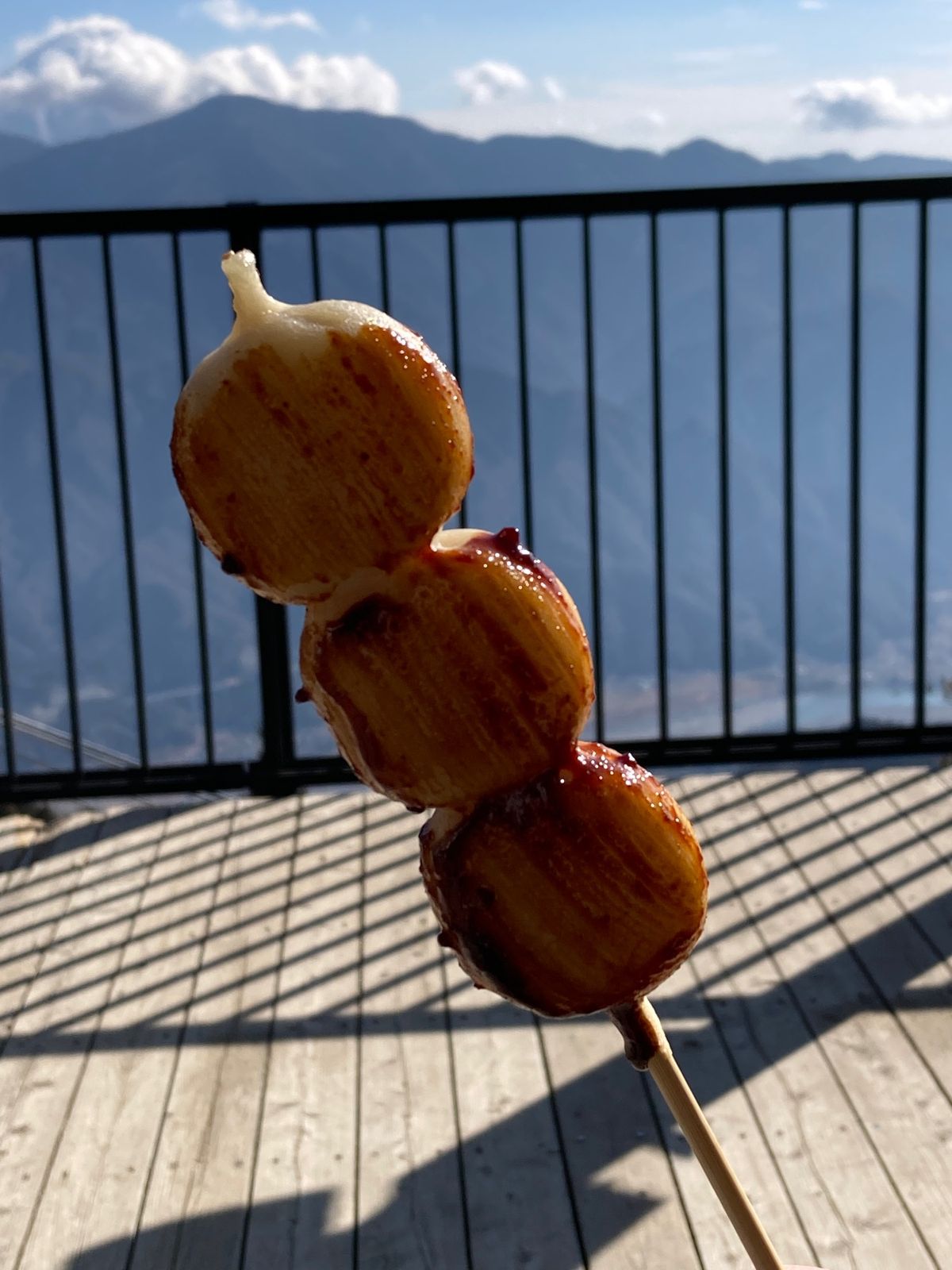 今度こそ、身延山へ。ロープウェイの駅まで114段の階段があるんですが、軟弱...