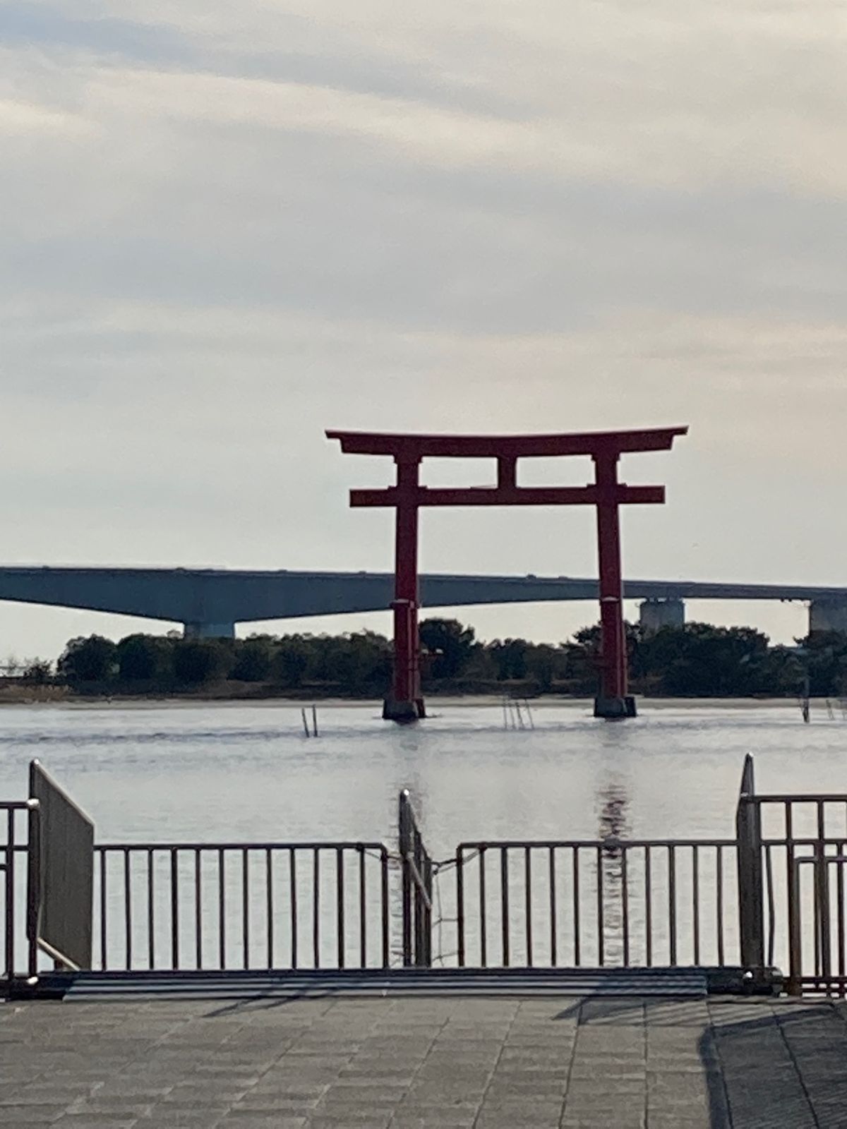 予定では、この後山中湖まで行くことになってたんですが、《さくめ》さんで予想...