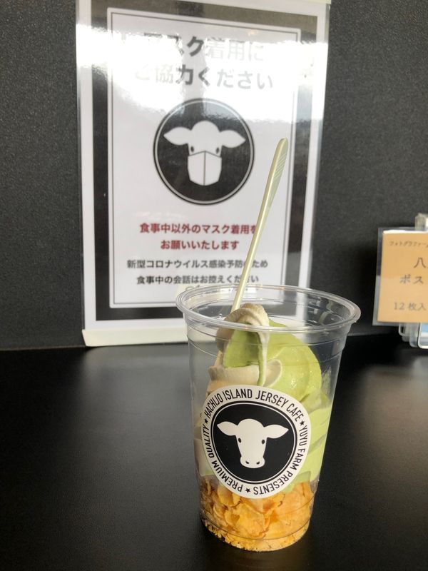 日本・東京都「八丈島の旅」の写真