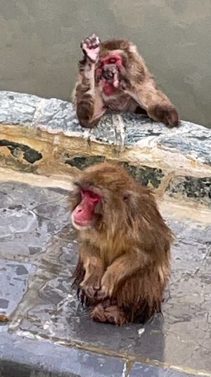 ＠熱帯植物園　