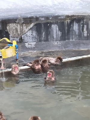 ＠熱帯植物園　