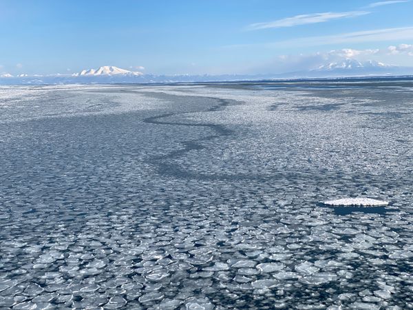 日本・北海道「北海道・オホーツク流氷 2023.02」の写真
