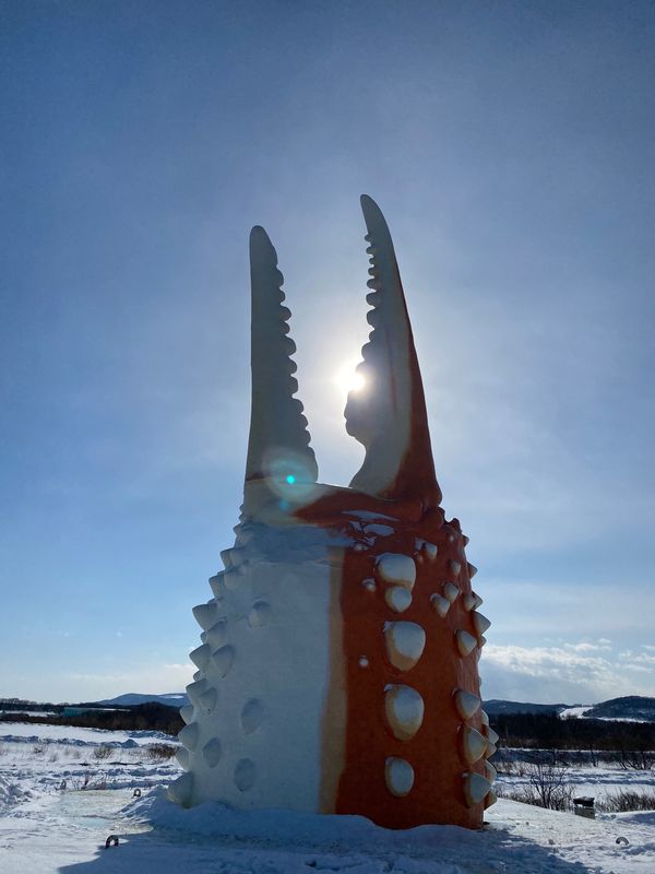 日本・北海道「北海道・オホーツク流氷 2023.02」の写真