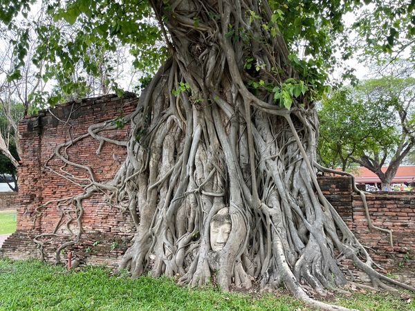 タイ・バンコク「韓国、バンコク」の写真