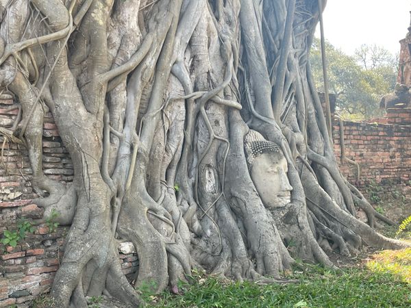 シンガポール・シンガポール「シンガポール、タイ2023」の写真