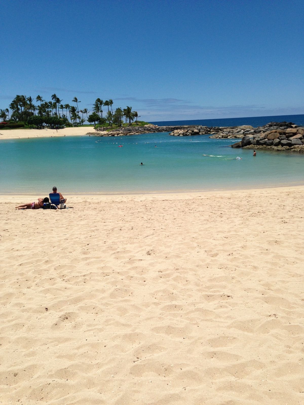 マリオットバケーションクラブの説明会に参加
2年に1回の権利購入