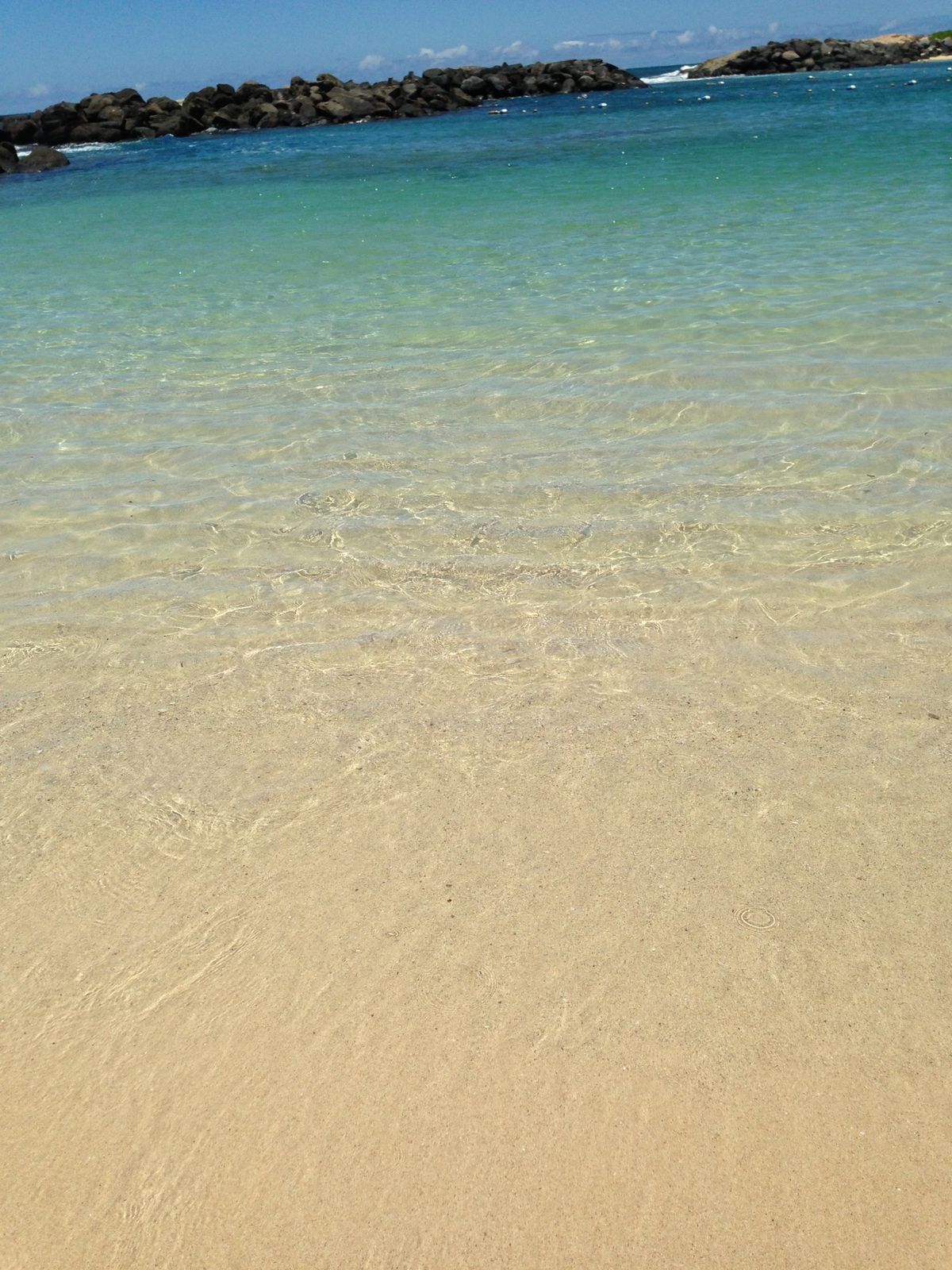 マリオットバケーションクラブの説明会に参加
2年に1回の権利購入