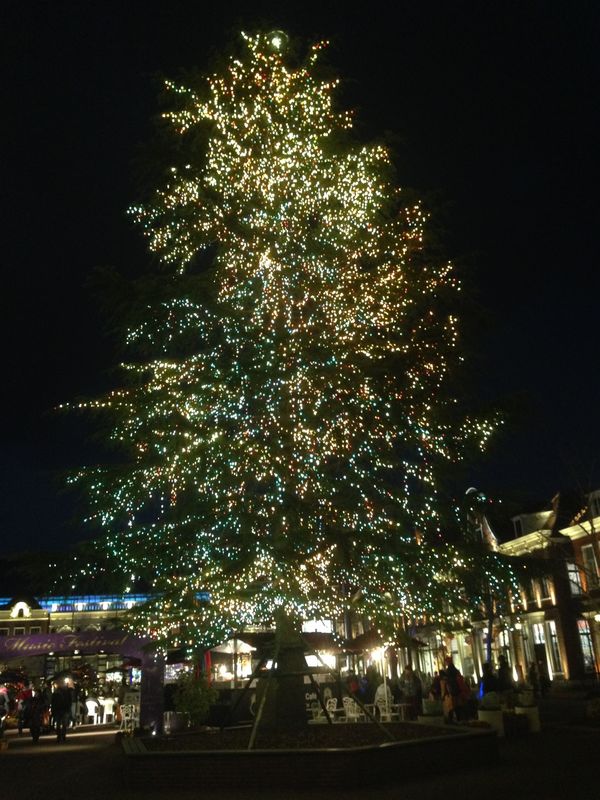 日本・佐賀県「義実家からの九州旅行」の写真：＠ハウステンボス
