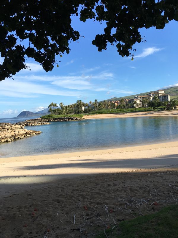 アメリカ(米国)・hawaii「初マリオット」の写真：＠コオリナ　マリオット