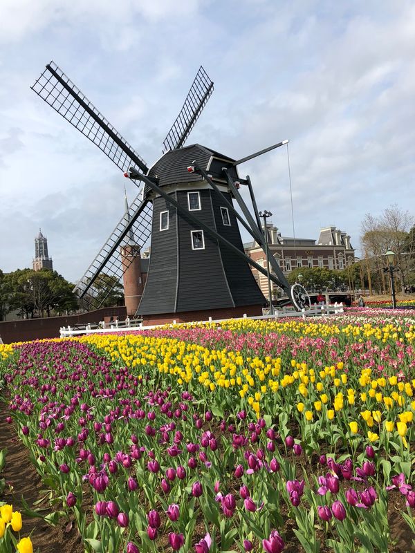 日本・長崎県「念願のチューリップ祭り　母娘3人旅」の写真