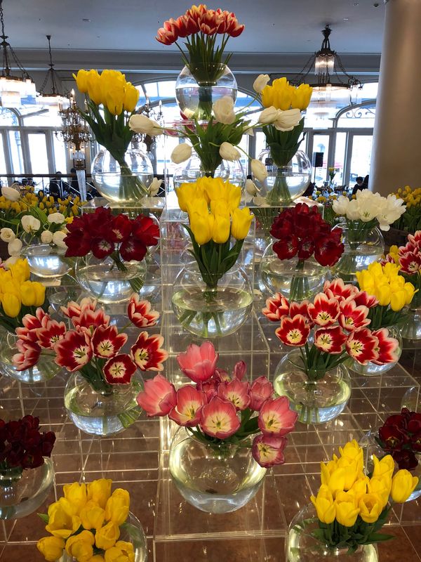 日本・長崎県「念願のチューリップ祭り　母娘3人旅」の写真