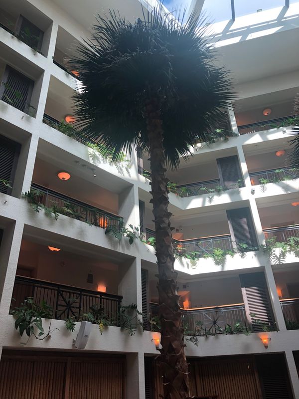 グアム・グアム「グアム　友達家族とのバカンス」の写真：＠ヒルトン　タシタワー