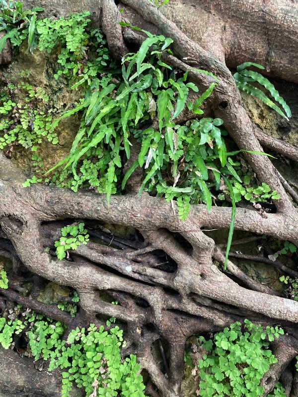 日本・沖縄県「令和5年沖縄」の写真