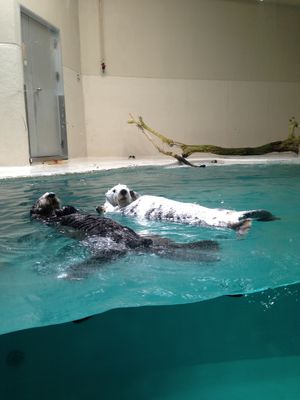 ＠鳥羽水族館
✋カメラ目線下さーい