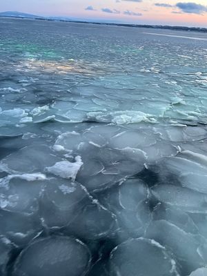 @おーろら号
流氷薄くて残念　いつかまた行こう🙋‍♀️
クリオネ