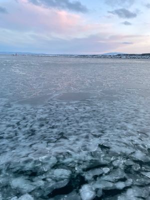 @おーろら号
流氷薄くて残念　いつかまた行こう🙋‍♀️
クリオネ