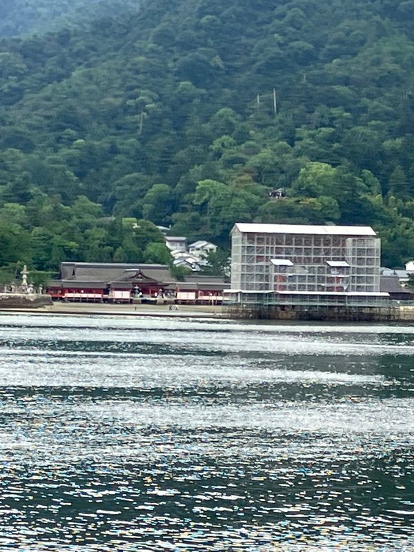 日本・広島県「広島旅行」の写真：世界遺産の宮島の鳥居が修理中😭