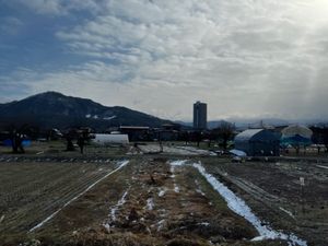 山形
