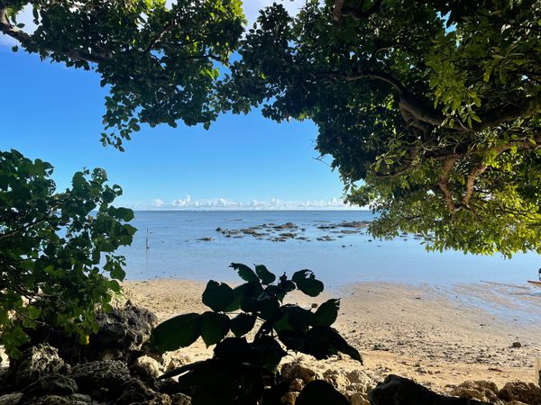 日本・沖縄県「沖縄のたび」の写真：大好きな沖縄で充電