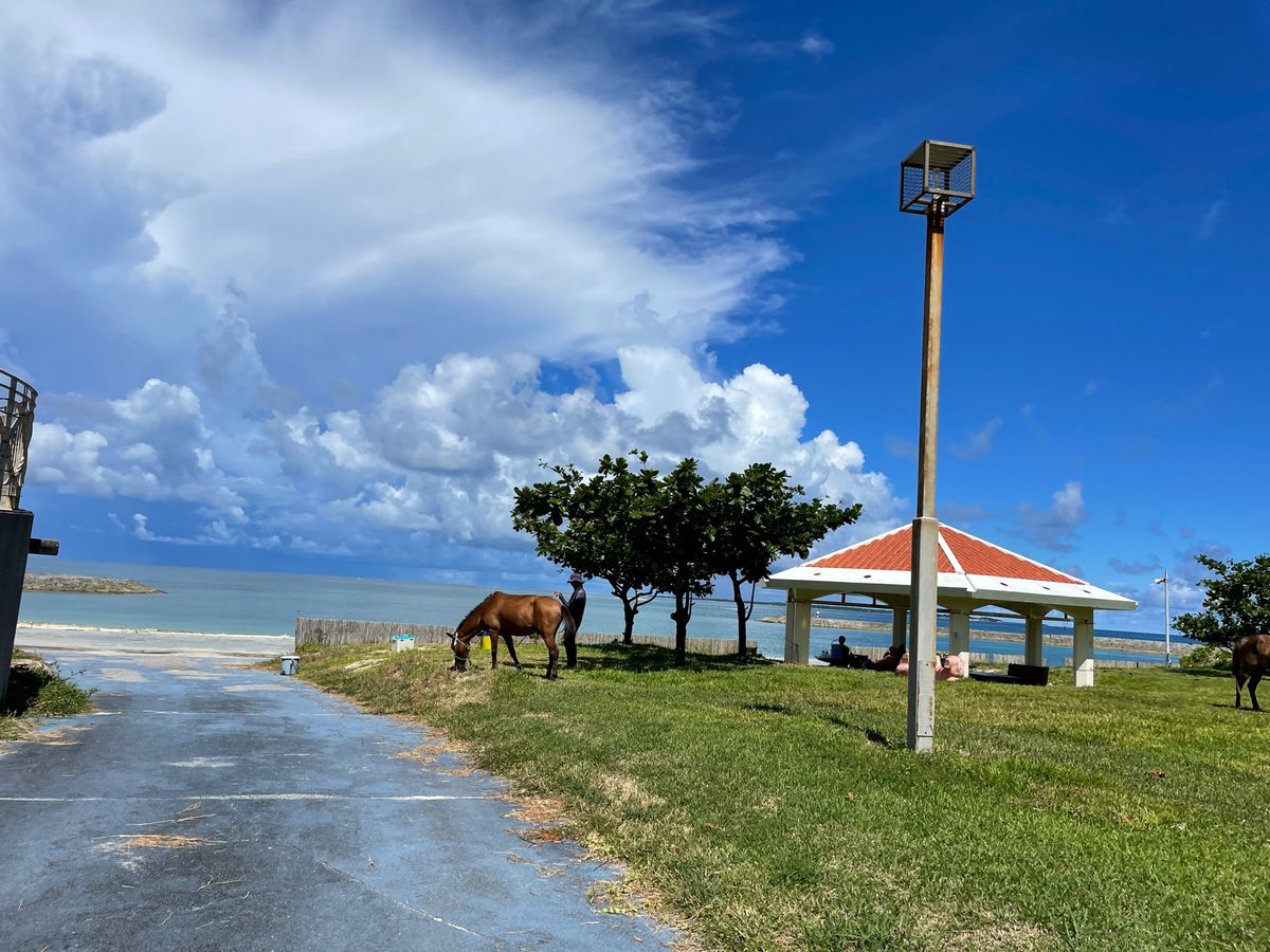 大好きな沖縄で充電