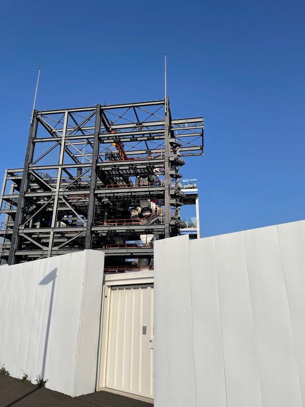 日本・神奈川県「横浜春」の写真