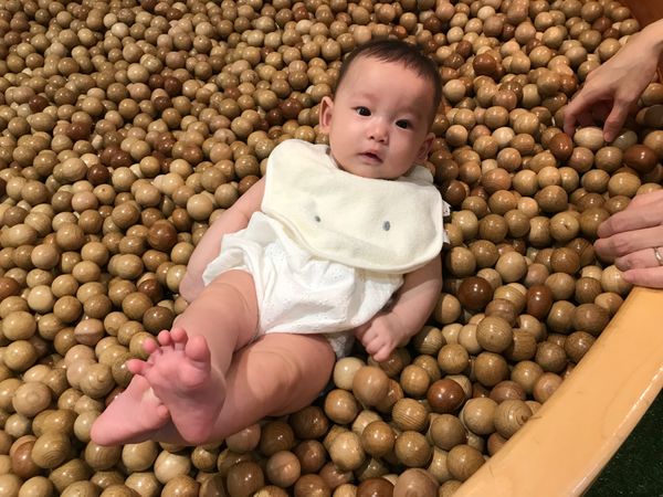 日本・静岡県「三島 クレマチスの丘〜伊東温泉」の写真：クレマチスの丘からクリオ伊東