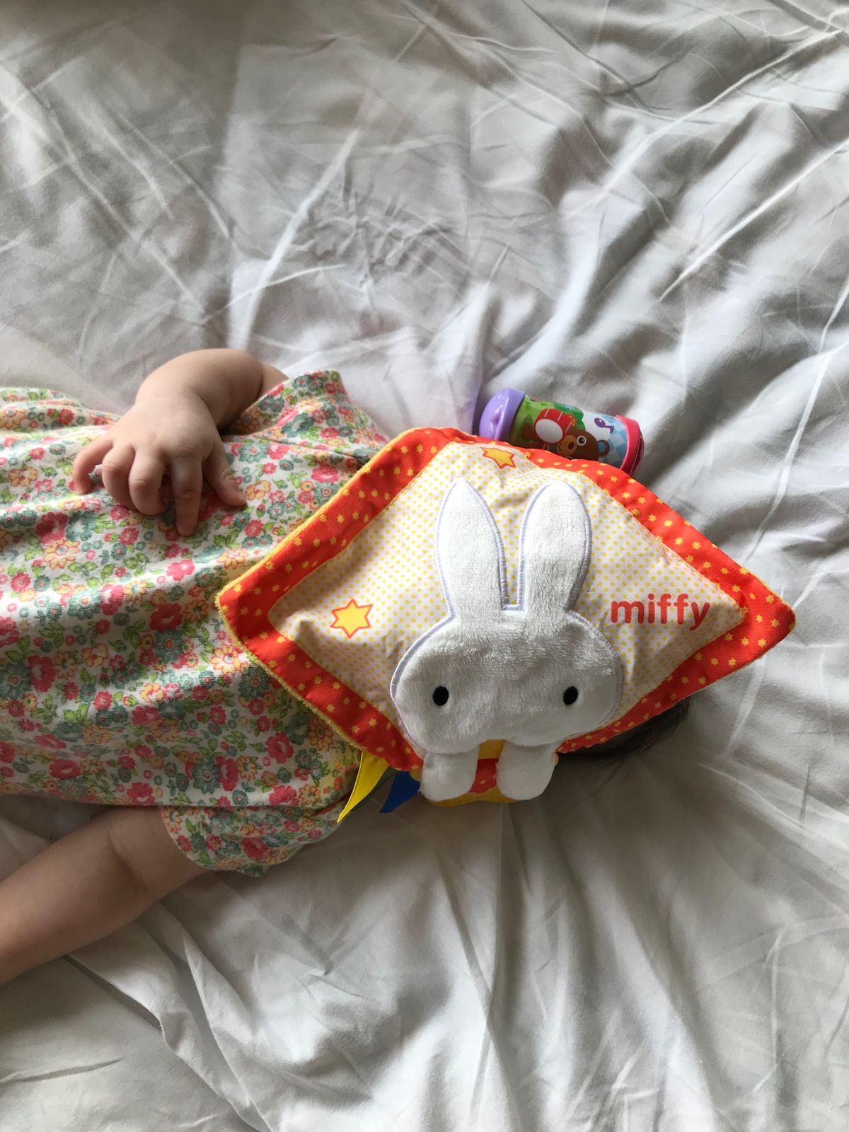 クレマチスの丘からクリオ伊東