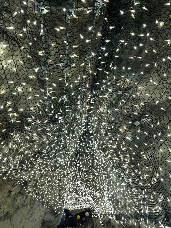 日本「湘南&横浜探索」の写真