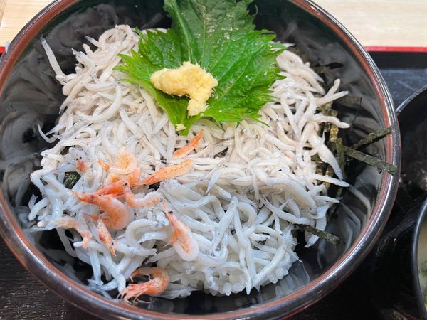 日本「湘南&横浜探索」の写真