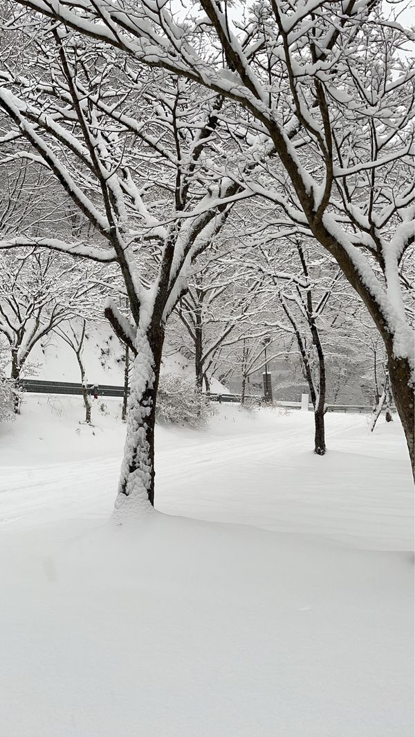日本・群馬県「伊香保温泉」の写真