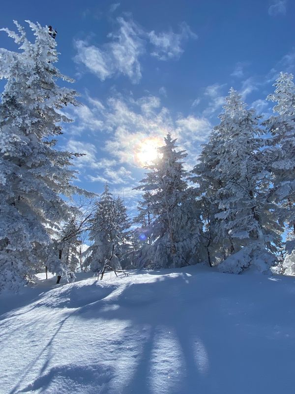 日本・長野県「志賀高原スキー」の写真：めちゃくちゃ久しぶりだったけど、2日間天...